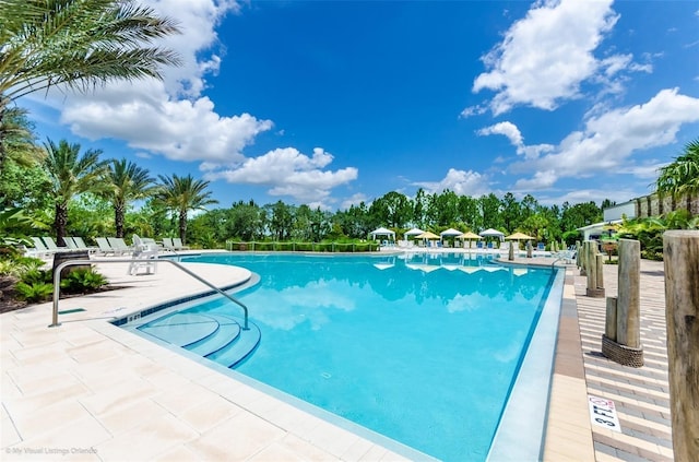 view of swimming pool with a patio area