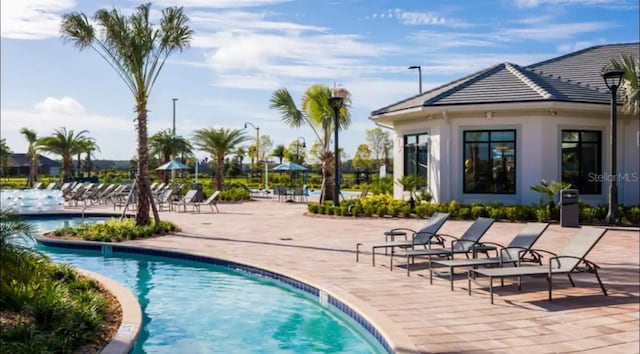 view of pool featuring a patio area