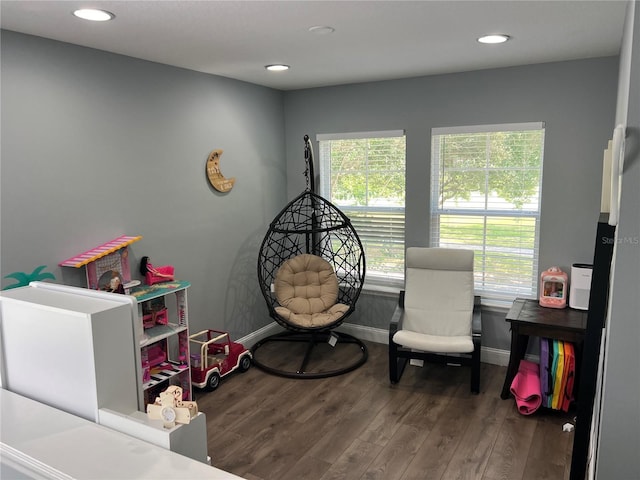 playroom with wood-type flooring