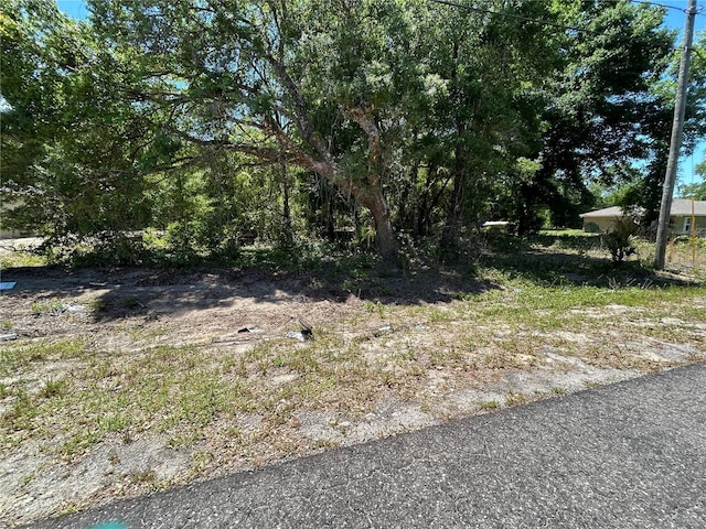 Listing photo 2 for 0000 Guava Ter Unit 4, Ocklawaha FL 32179