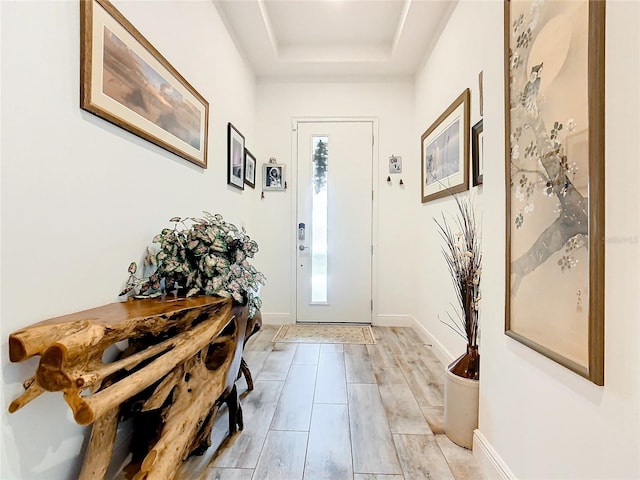 entrance foyer with a healthy amount of sunlight and a raised ceiling