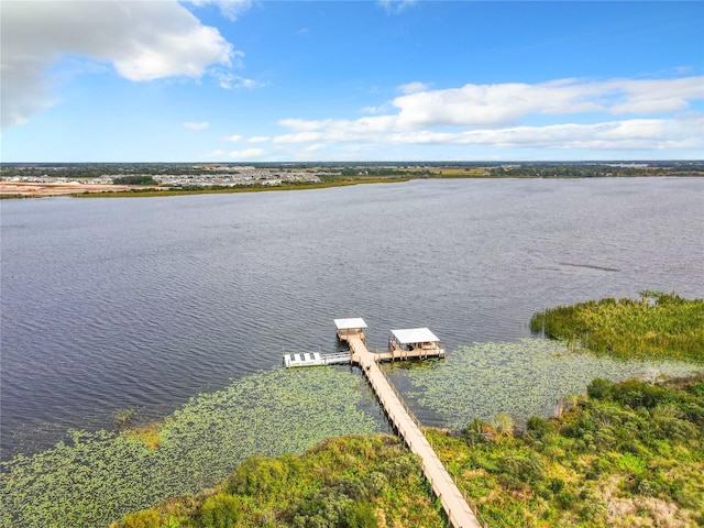 water view with a dock