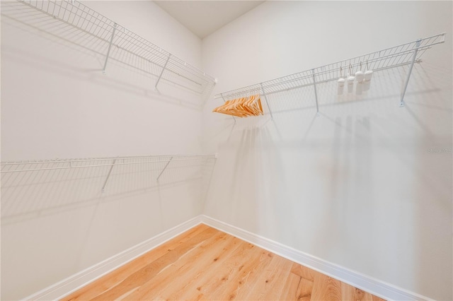 spacious closet with wood-type flooring