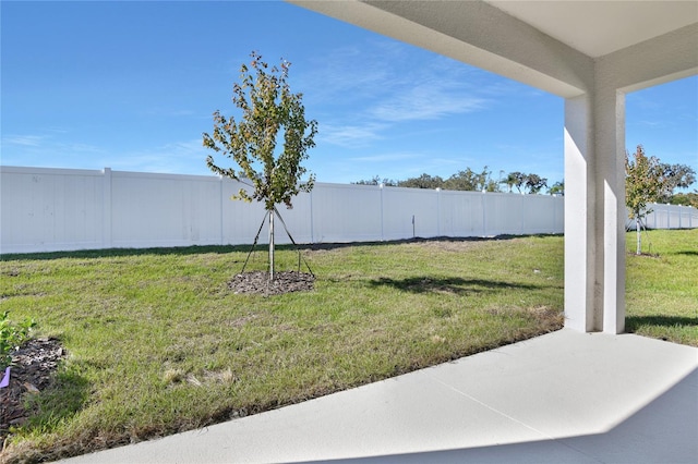 view of yard with a patio