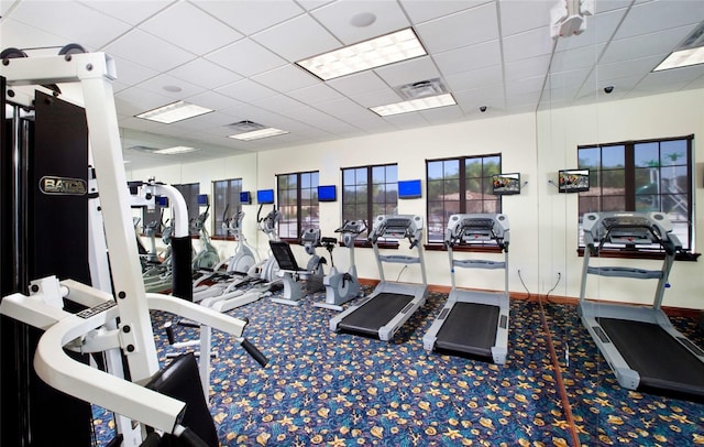 workout area featuring carpet floors and a drop ceiling