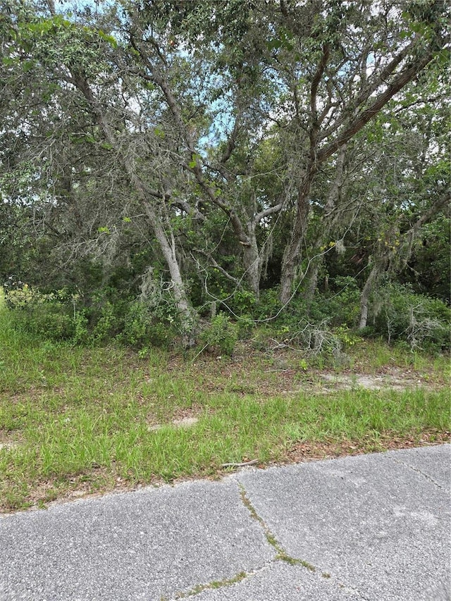 Mediterranean Ct, Poinciana FL, 34759 land for sale