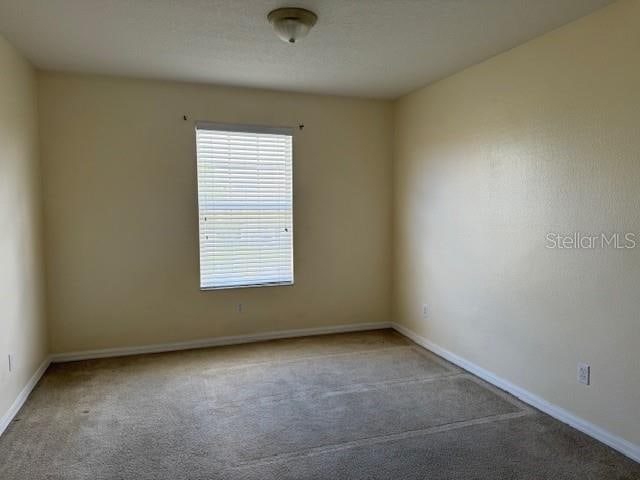 unfurnished room with carpet