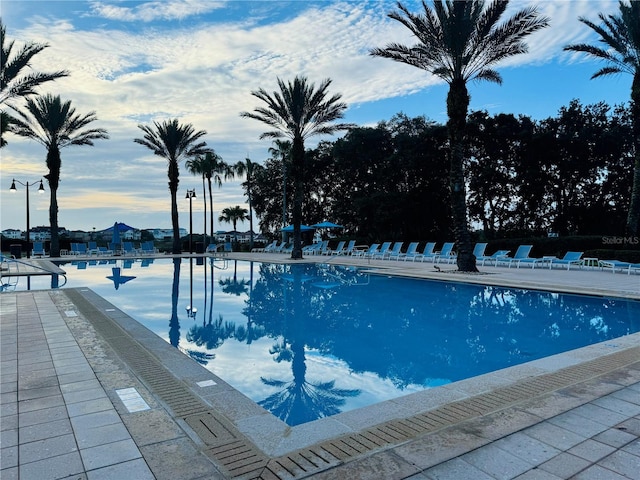 view of swimming pool