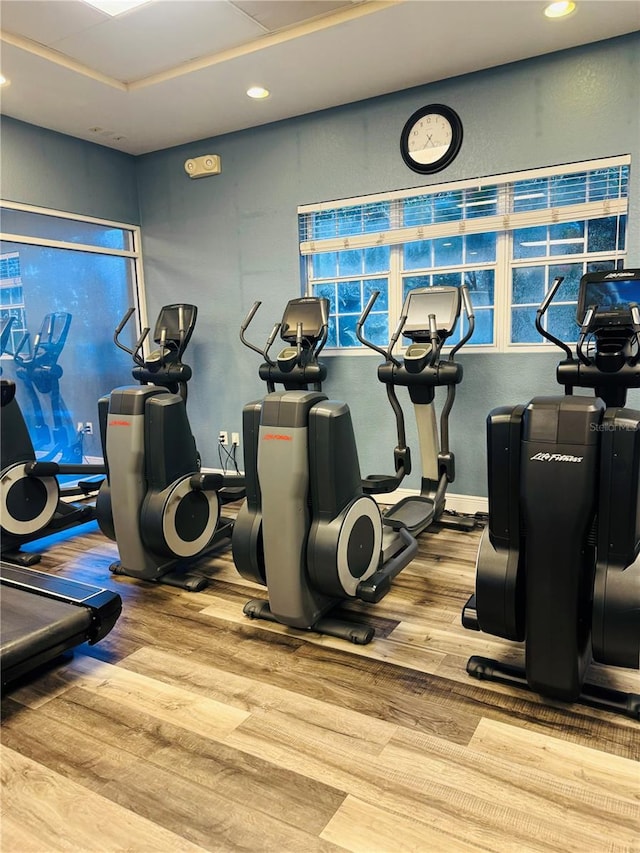 exercise room featuring hardwood / wood-style flooring