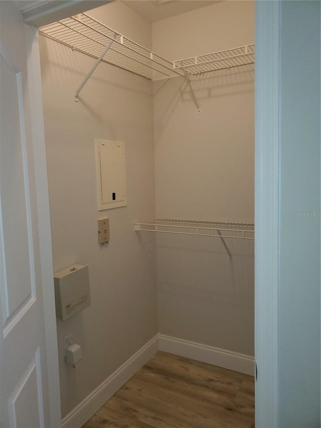 walk in closet with wood-type flooring