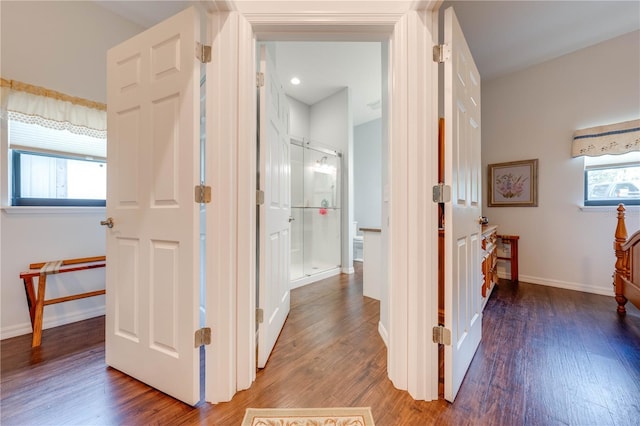 hallway featuring dark wood-type flooring