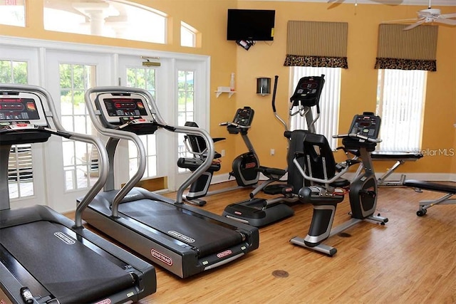 workout area with wood-type flooring and ceiling fan