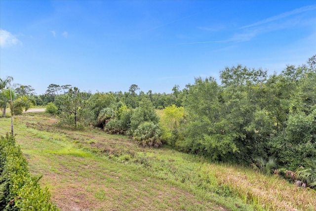 view of local wilderness featuring a rural view