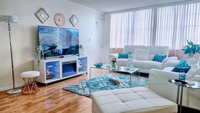 living room with hardwood / wood-style flooring