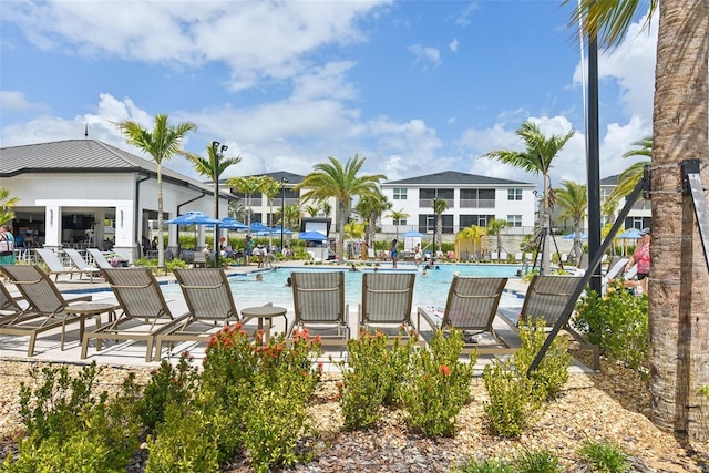 view of swimming pool with a patio