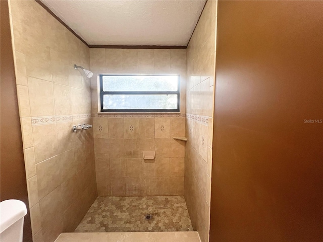 bathroom with tiled shower and toilet