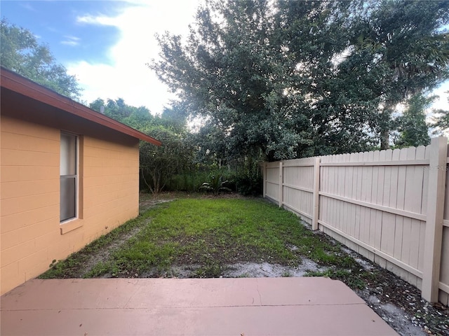 view of yard featuring a patio