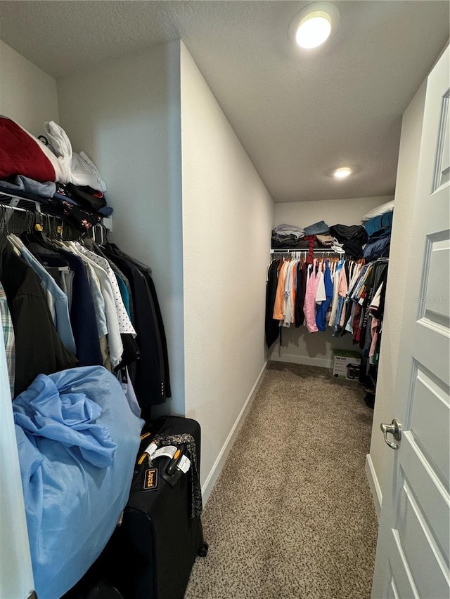 spacious closet with light carpet