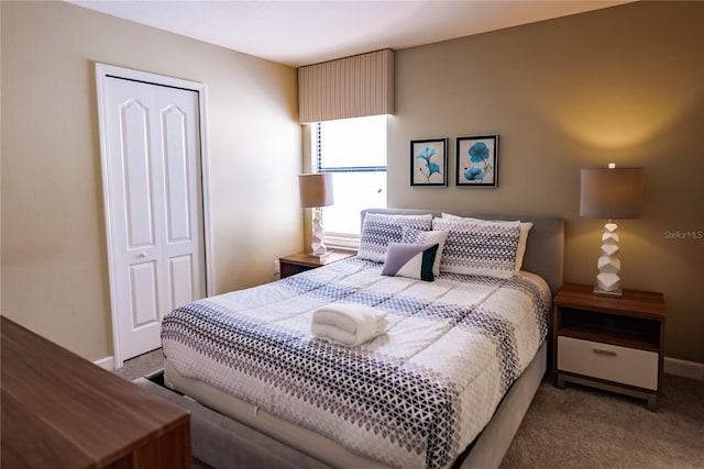 bedroom featuring a closet and carpet floors