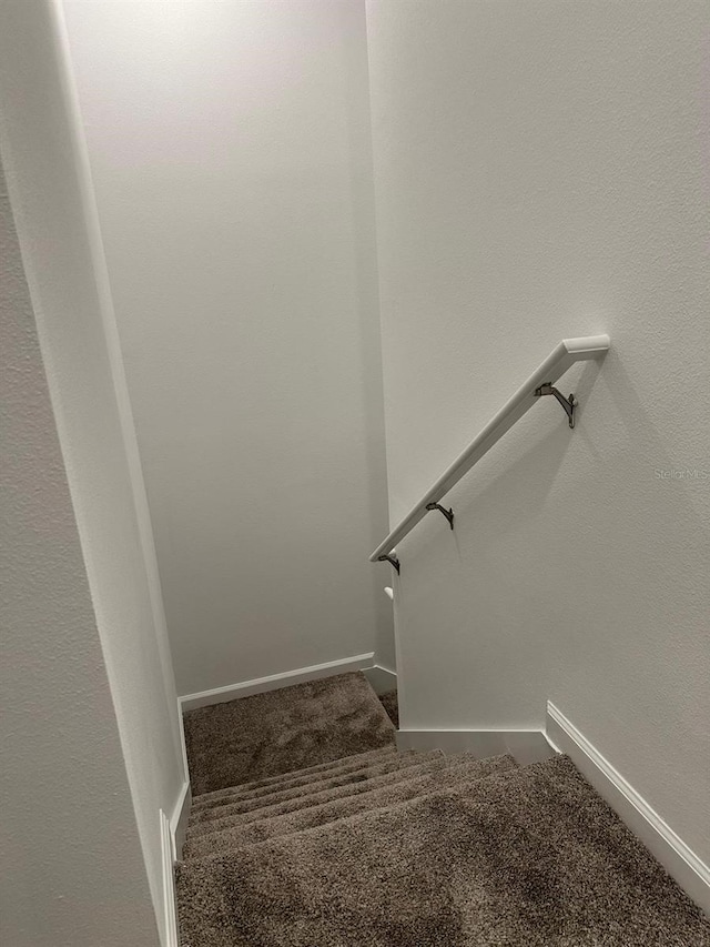 staircase featuring carpet