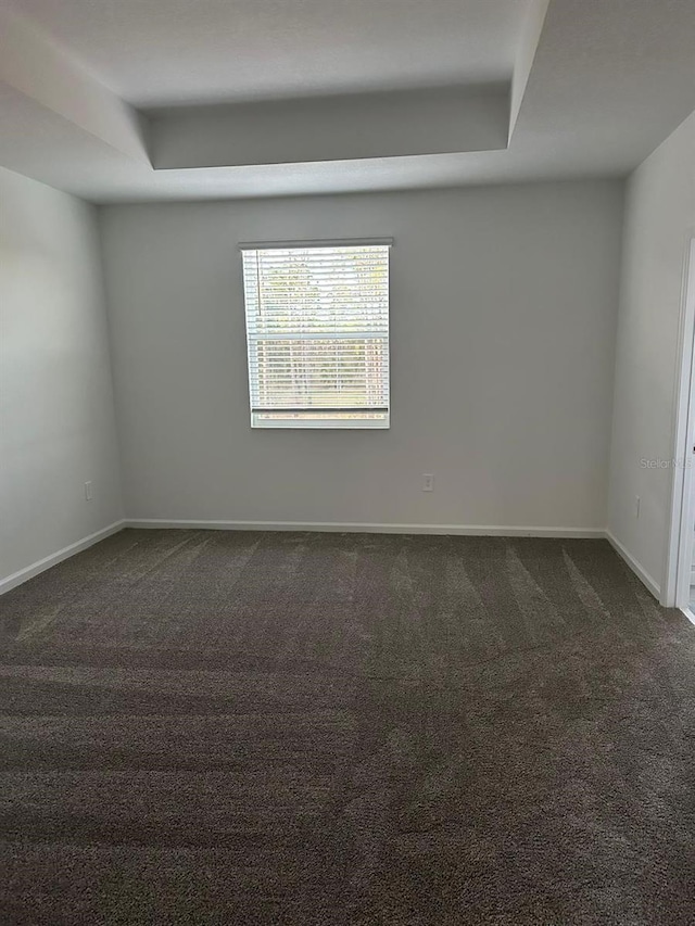 carpeted empty room featuring a tray ceiling