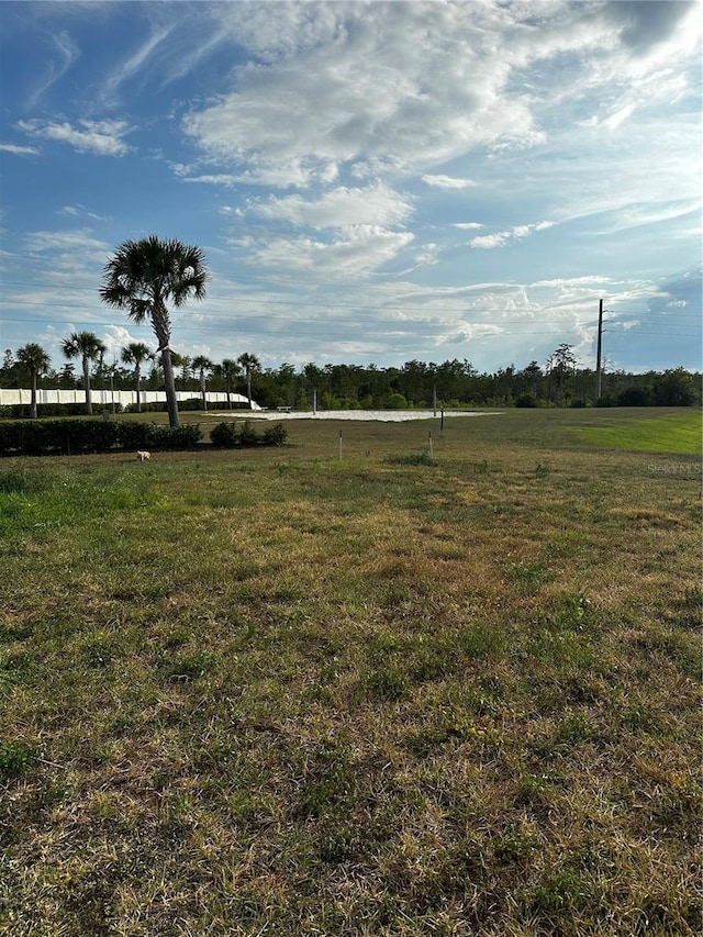 view of yard with a rural view