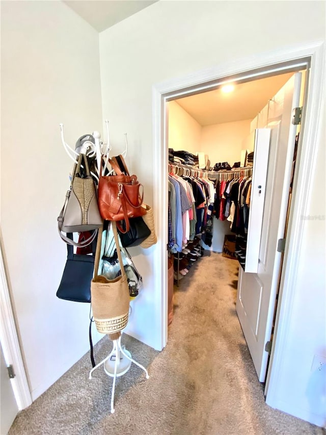 spacious closet featuring light carpet