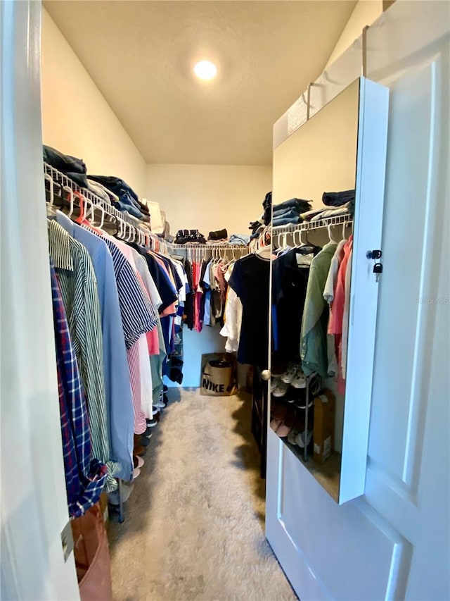 view of walk in closet