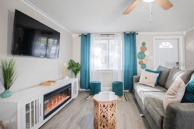 living room featuring ceiling fan, light hardwood / wood-style flooring, and ornamental molding