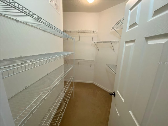 walk in closet with carpet