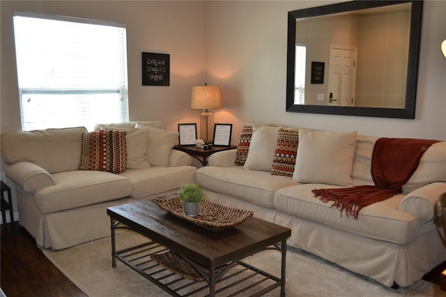 living room featuring hardwood / wood-style flooring