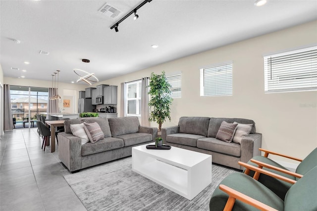 living room with rail lighting and a wealth of natural light