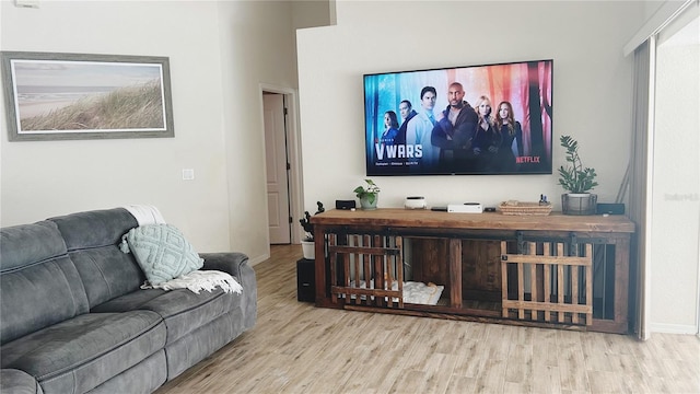 living room featuring hardwood / wood-style flooring