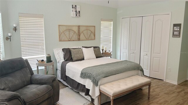 bedroom featuring a closet and hardwood / wood-style floors