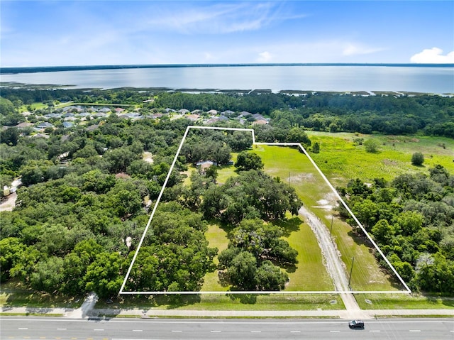 bird's eye view featuring a water view and a view of trees