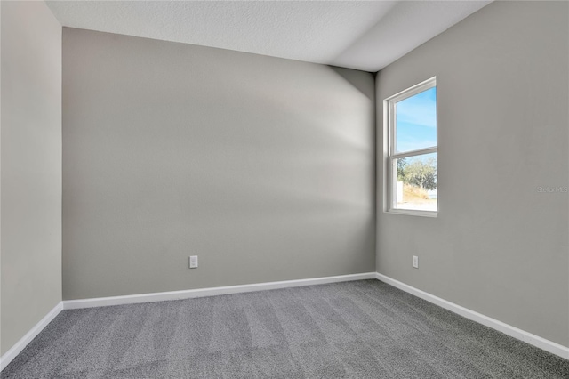 unfurnished room with carpet floors and a textured ceiling