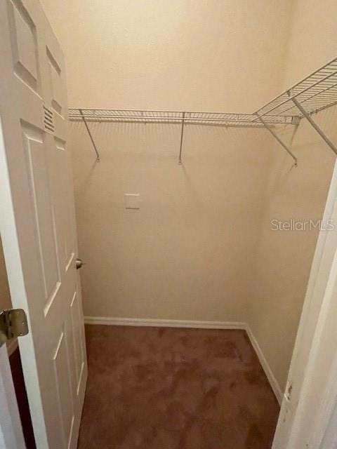 walk in closet featuring carpet