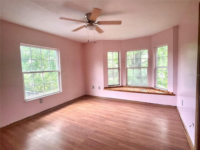 spare room with ceiling fan and light hardwood / wood-style floors