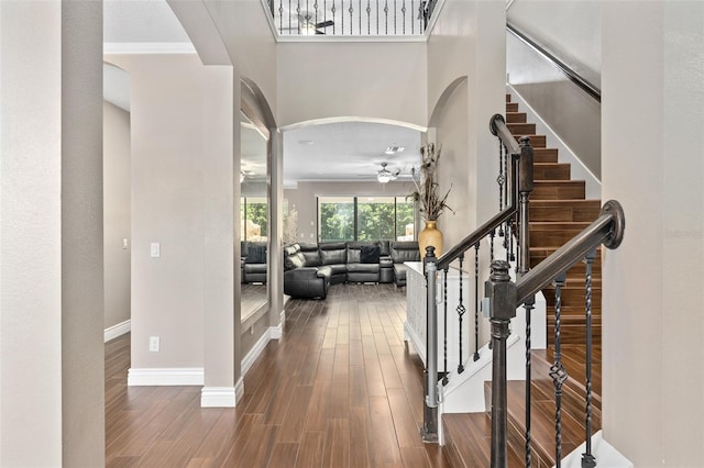 entrance foyer with baseboards, a ceiling fan, ornamental molding, and dark wood-style flooring