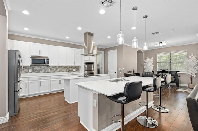 kitchen with sink, pendant lighting, extractor fan, a kitchen island with sink, and appliances with stainless steel finishes