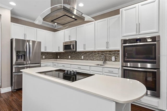 kitchen featuring dark wood finished floors, ornamental molding, a sink, appliances with stainless steel finishes, and tasteful backsplash