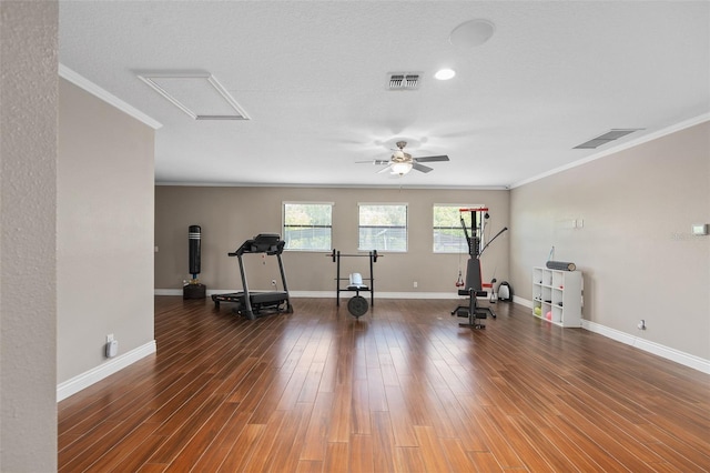 exercise area with a textured ceiling, crown molding, ceiling fan, and dark hardwood / wood-style floors