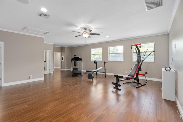 exercise room with hardwood / wood-style floors, ceiling fan, and crown molding