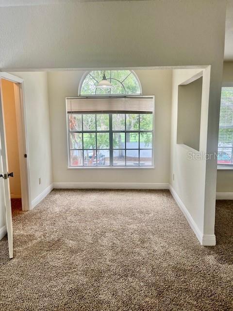 spare room featuring carpet