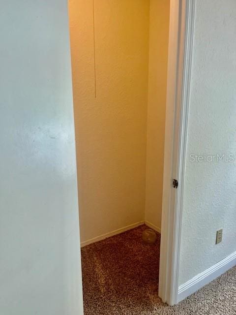 hallway with carpet floors