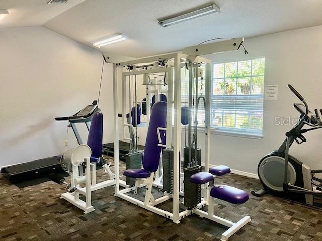 exercise area featuring lofted ceiling and dark carpet