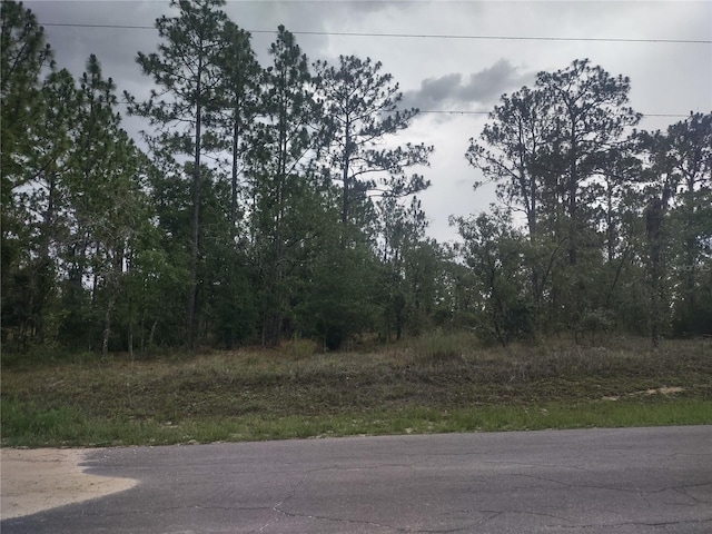 Listing photo 3 for NE 150th Ave, Williston FL 32696