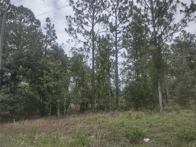 NE 150th Ave, Williston FL, 32696 land for sale