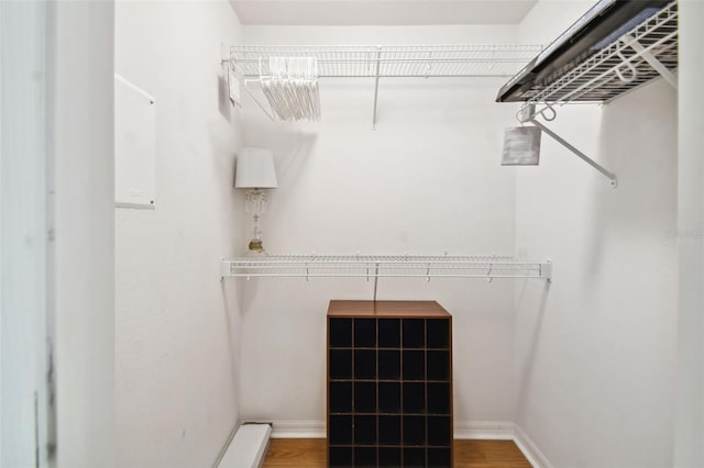 spacious closet with wood-type flooring