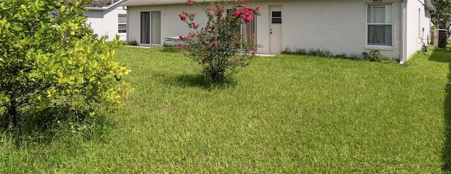 back of house featuring a lawn